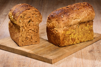 Toendra brood